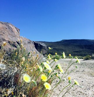 California Conservation Corps