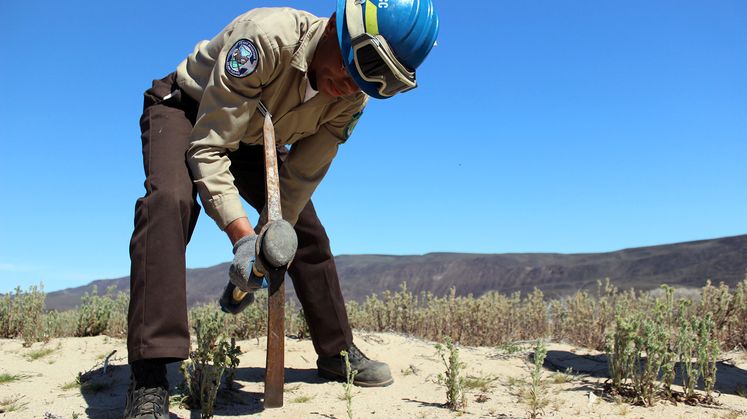 California Conservation Corps