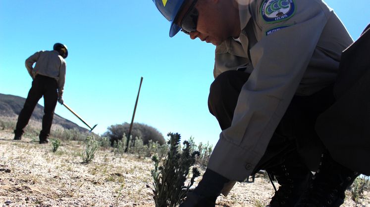 California Conservation Corps
