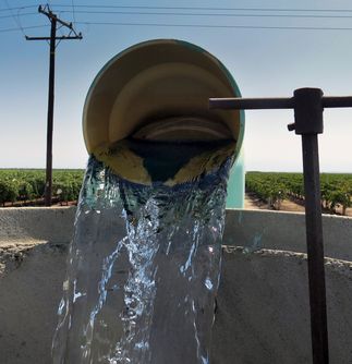 Drought and Agriculture