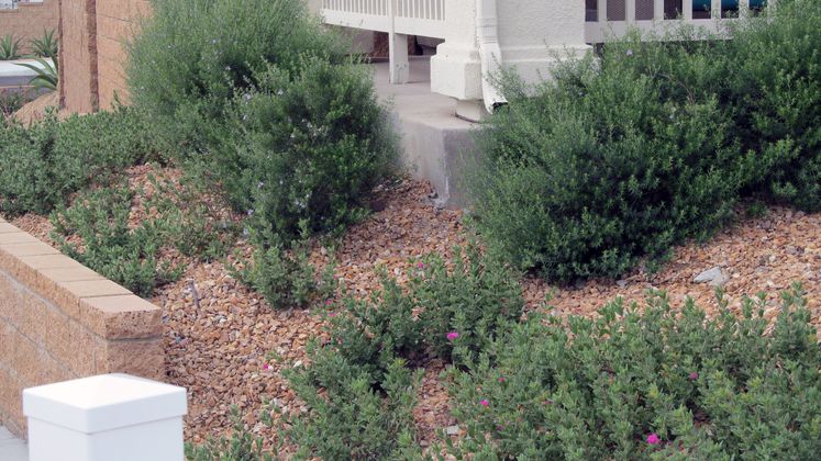 Zero Net Energy buildings