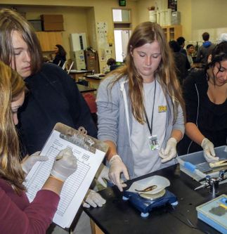 Seabass in the Classroom