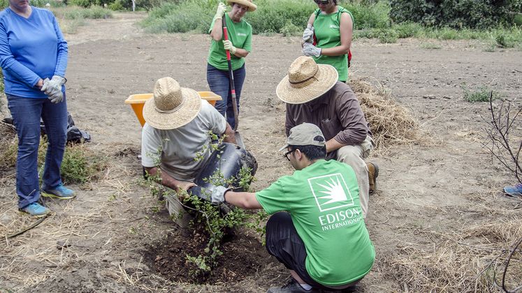 ECOIQ_247_