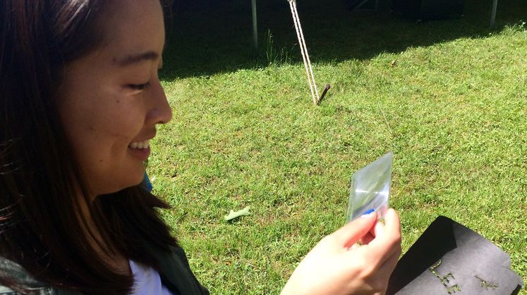 Edison Scholars - Science Camp