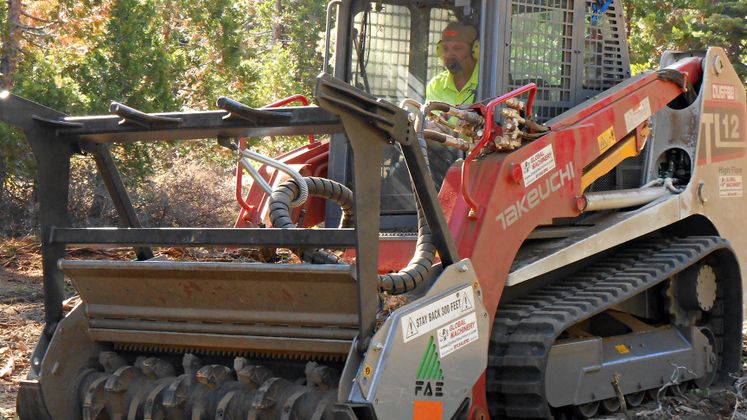 Shaver Lake biomass