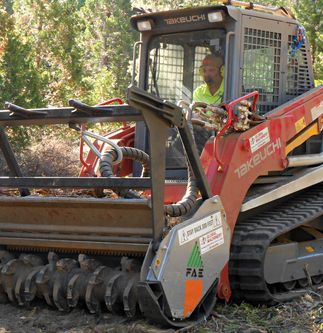 Shaver Lake biomass