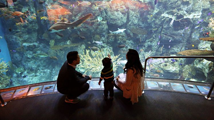 Aquarium of the Pacific energy efficiency