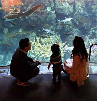 Aquarium of the Pacific energy efficiency