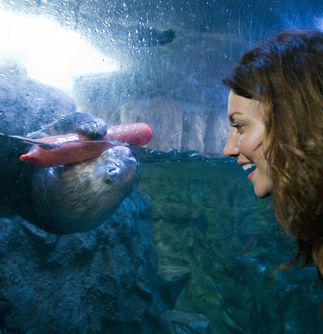 Aquarium of the Pacific energy efficiency