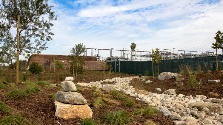 Huntington Beach Drought Tolerant Landscaping Project