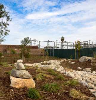 Huntington Beach Drought Tolerant Landscaping Project