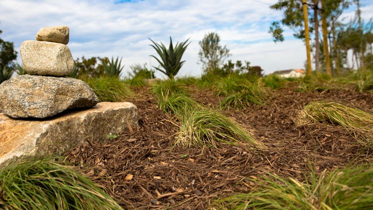 Huntington Beach Drought Tolerant Landscaping Project