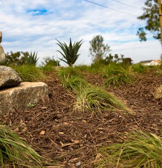 Huntington Beach Drought Tolerant Landscaping Project
