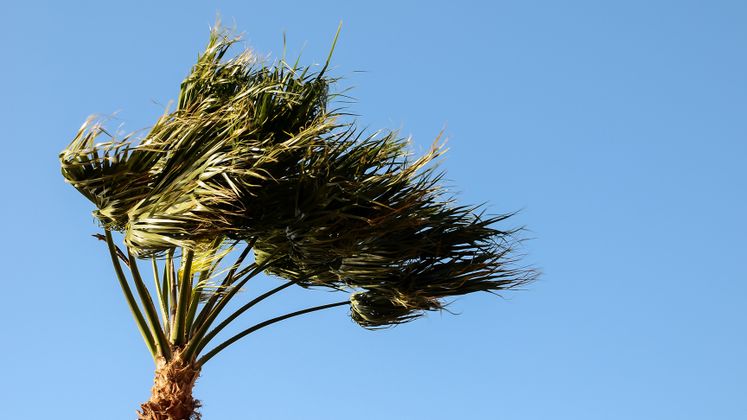 High Winds