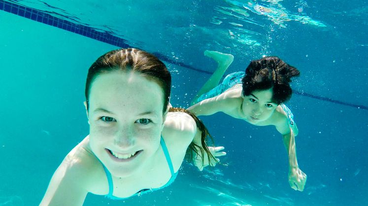 Pool Safety