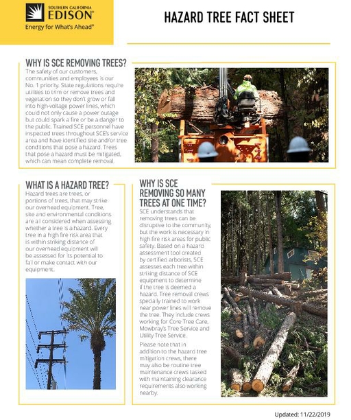 Hazard Tree Removal cover