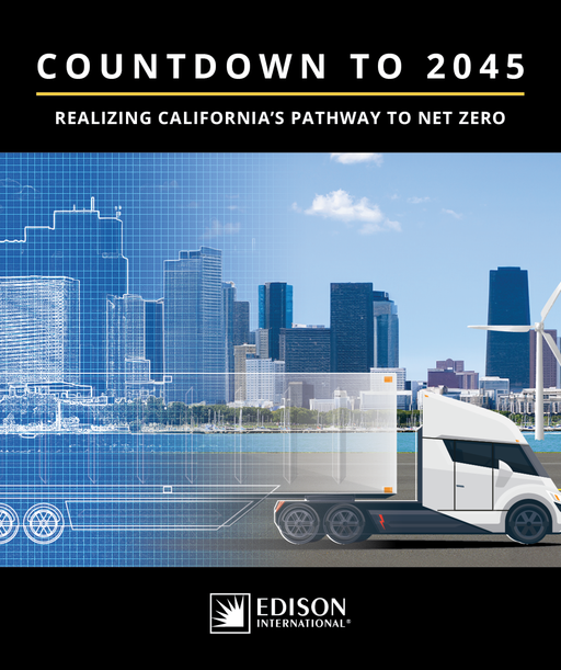 Countdown to 2045 cover