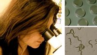 UNM Researchers Study Spontaneous Mutations