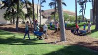 Students Improve UNM Campus for Homecoming