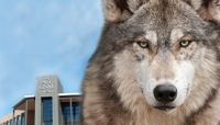 UNM West announces degree programs
