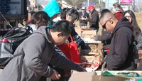 Lobo Food Pantry set for May 28 & June 26