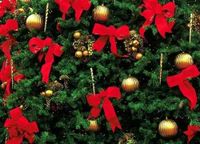 Greening your holiday season