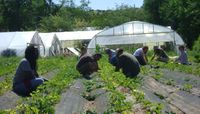 UNM’s Sustainability Studies Program makes it easy to support local farmers