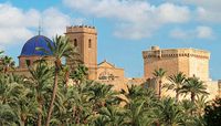 LAII offers summer trip to Spain