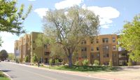 UNM arborists inventory campus trees