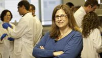 NSF grant will support research on heart valve tissue engineering
