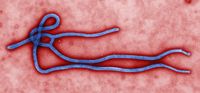 UNM responding to Ebola and crisis management