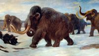 Using the past as key to the future: UNM researchers study terminal Pleistocene