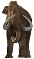 After the mammoths: researchers use computer models to learn about ice age survivors