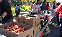 UNM helping feed the community