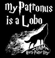 Student activities celebrates Harry Potter Day