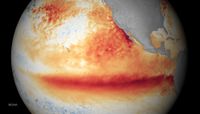 El Niño winter is here; above average precipitation expected