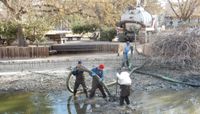 Duck Pond cleaning reveals interesting items