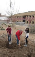UNM celebrates Earth Day, Arbor Day with tree plantings