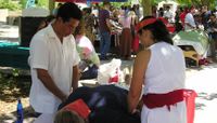 UNM Curanderismo program returns for 15th year