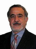A look at Islam and Middle East after the Arab Spring