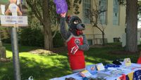 UNM United Way Campaign underway