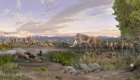 UNM researchers look to understand decline of large-bodied mammals