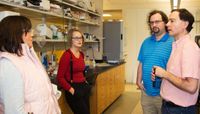 Molecular computing at UNM