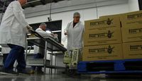 UNM volunteers give back over winter break