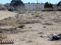 Greek Life students volunteer to beautify UNM during Greek Week