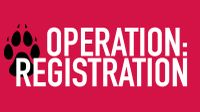 'Operation: Registration' back to help Lobos