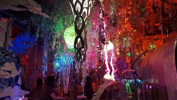 UNM's 2016 top-10 general news stories