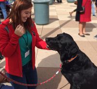 Cuddle a Canine at Zimmerman Library on April 6