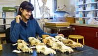 Anthropology students awarded NSF Graduate Fellowships