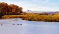 Pressing water concerns discussed at conference 
